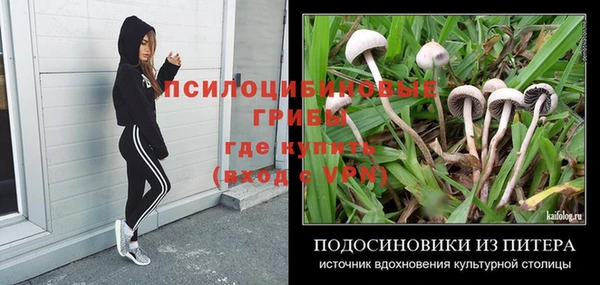 скорость Богородицк