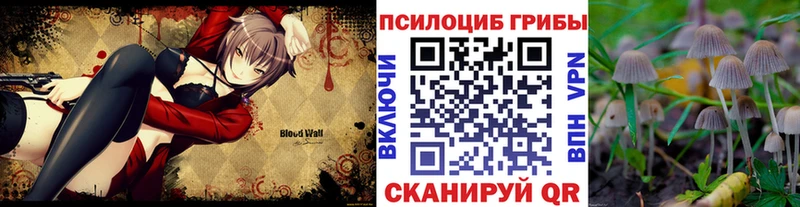 Галлюциногенные грибы Cubensis  Купить где  Сысерть 